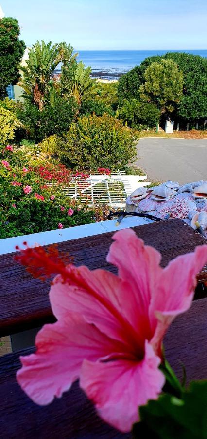 Belle Vue Guesthouse Hermanus Exterior photo