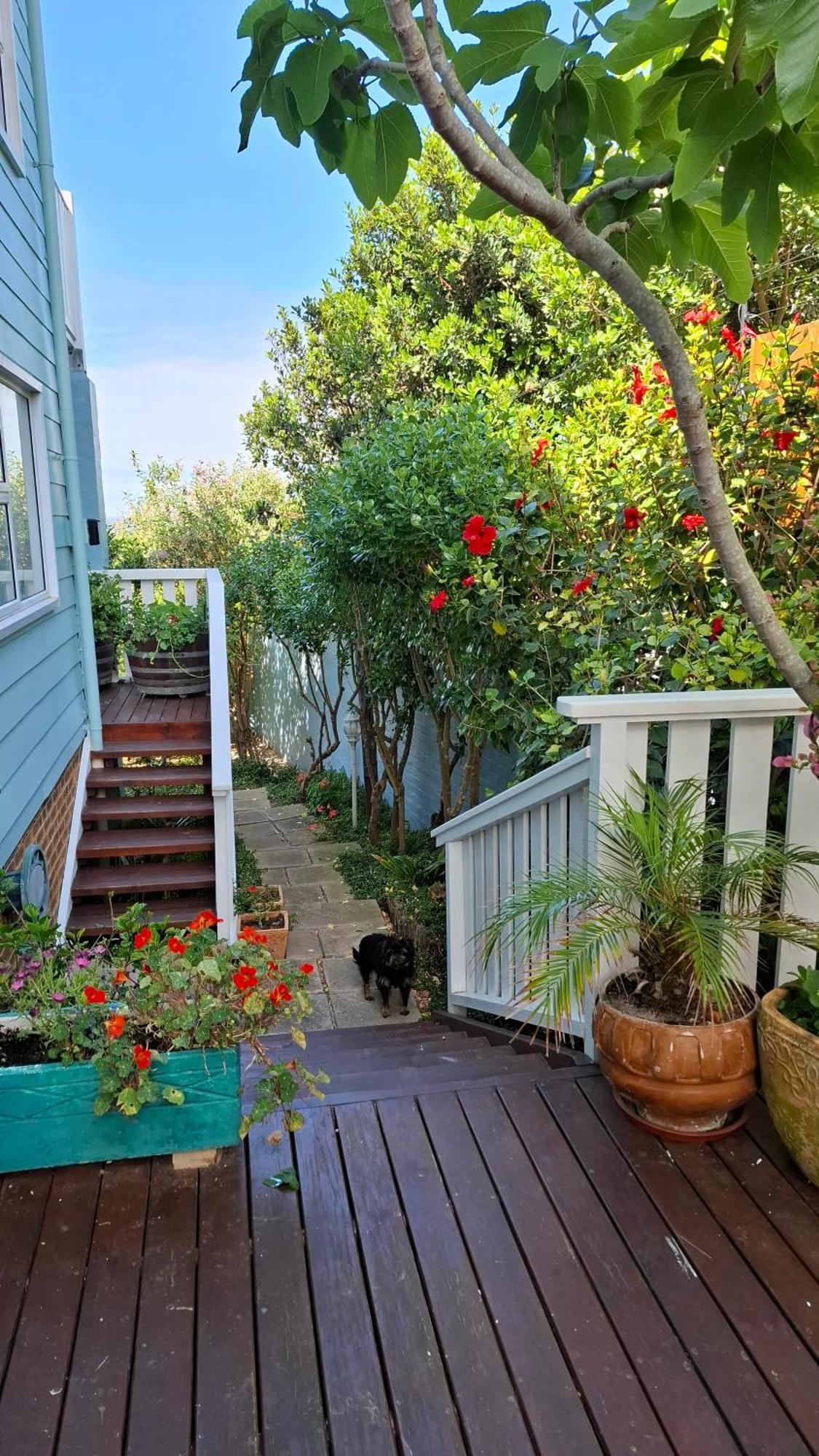 Belle Vue Guesthouse Hermanus Exterior photo