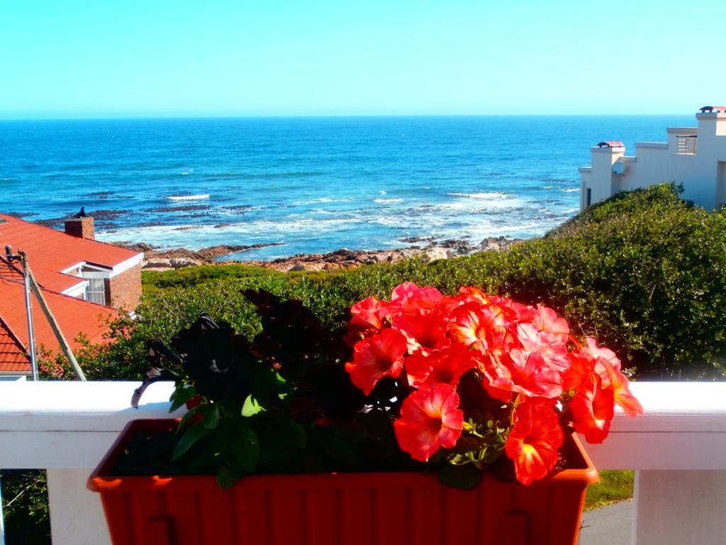 Belle Vue Guesthouse Hermanus Exterior photo