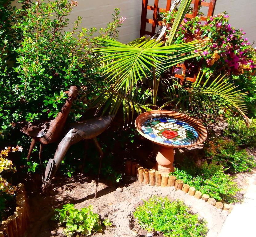 Belle Vue Guesthouse Hermanus Exterior photo